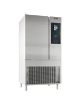 Zanussi Şok Soğutucu ve Dondurucu Rapido 10 GN 1/1 Kapasiteli 89x93x173 cm 110547 - 2