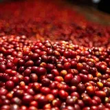 Despado Coffee Brazil 250 Gr - Görsel 3