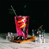 Rubikap EX.PT300 Exclusive Prizma Bardak, Polikarbon, 300 ml, Füme - Görsel 2