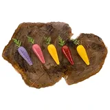 Silikomart Carota 20 Silikon Kalıp - Görsel 2
