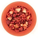 Silikomart Dot Silikon Kalıp, 20 cm - Görsel 3