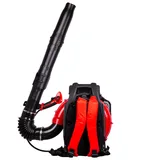 EB985A EUR5 Üfleme Makinesi Sırt Tipi - Görsel 2