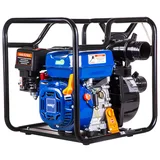 FPX30E EUR5 Su Motoru 3” - Görsel 2