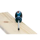 BOSCH Torx Uçlu Tornavida Takımı 6 Parça - Görsel 4