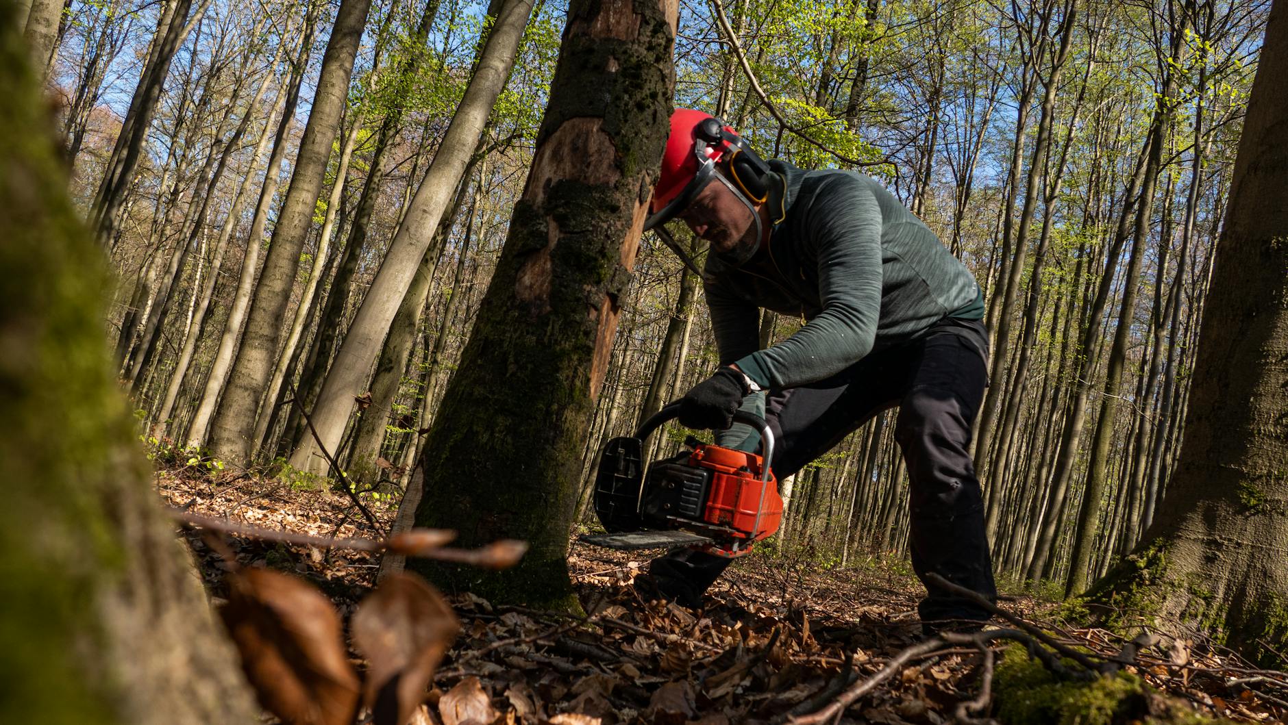 Motorlu testere operatörü koruma kaski