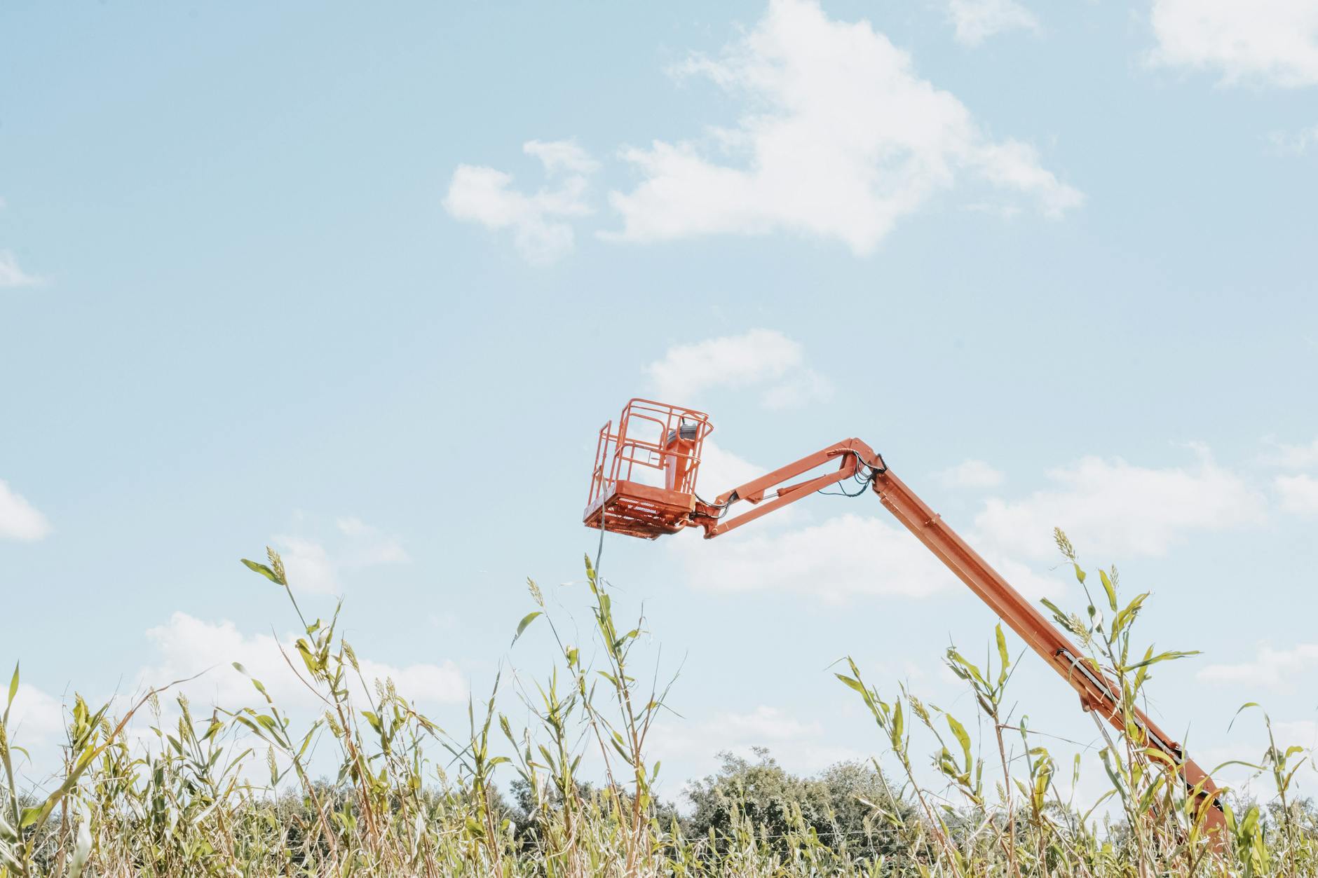 Telehandler tarım
