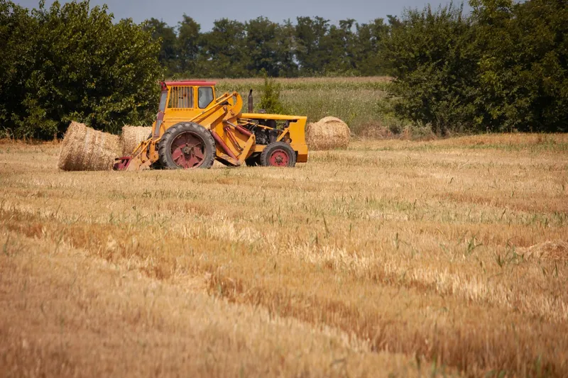 Tarım telehandler