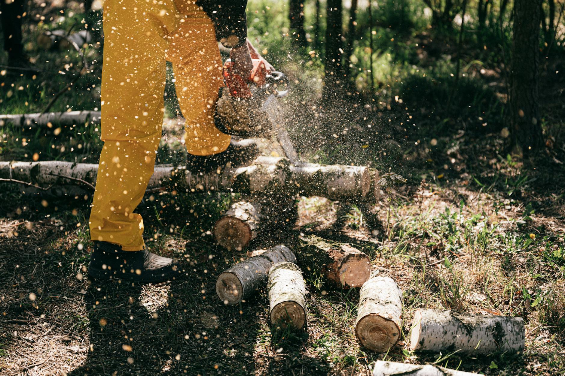 Husqvarna 550 XP ile Stihl MS 261 Karşılaştırması: Orman ve Peyzaj İşinde Doğru Bar–Zincir–Yağ Kombinasyonu Nasıl Seçilir?