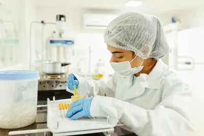 Klasik HACCP'ten ML-Tabanlı Proaktif Gıda Güvenliğine: SQF v9, BRCGS Issue 9, FSSC 22000 v6 ve IFS Food v8'in 2026 Eşiği