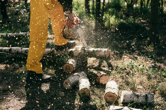 Husqvarna 550 XP ile Stihl MS 261 Karşılaştırması: Orman ve Peyzaj İşinde Doğru Bar–Zincir–Yağ Kombinasyonu Nasıl Seçilir?