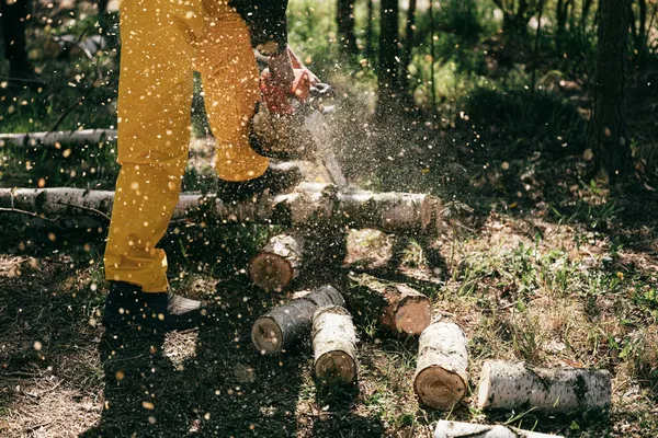 Husqvarna 550 XP ile Stihl MS 261 Karşılaştırması: Orman ve Peyzaj İşinde Doğru Bar–Zincir–Yağ Kombinasyonu Nasıl Seçilir?