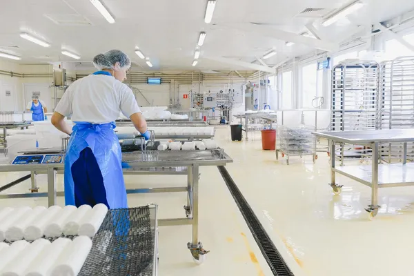 Tetra Pak FMTE İttifakı Sonrası Süt İşleme Hatları: Alfa Laval, GEA ve Pekomak'ın 2026 Otomasyon Hamlesi