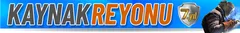 Kaynak Reyonu